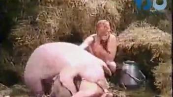 Passionate barnyard banging with two sluts and a pig