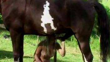Nude blond woman in explicit clips of filthy horse fellatio