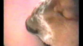 Woman trains dog to have intercourse with her in a bestiality film
