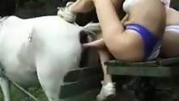 Fisting and hardcore fucking with a horny white mare