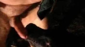 Black dog is sucking hubby's dick in awesome zoo tube video