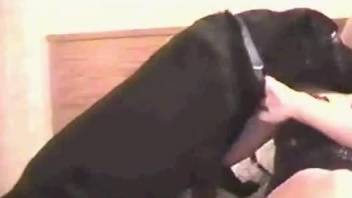 Impressive fuck video with a black dog and a horny MILF