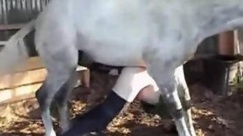 Horny pony gaping a dude's asshole in a hot anal scene