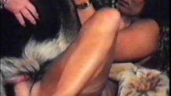 Retro fucking video featuring a really kinky doggo