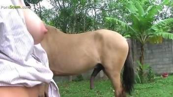 Two hot bitches take turns sucking on a horse's cock