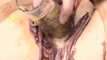 Beginner performer stuffs a massive collection of worms into her pussy