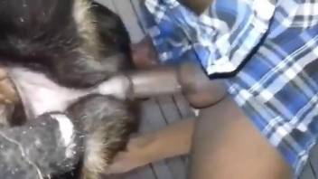 Zoophile dude fucking a dog's pussy savagely