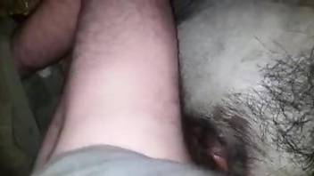 Dude bangs an animal's pussy from behind in a hot scene