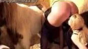 Slender ladies in stockings in amazing farm porn bestiality