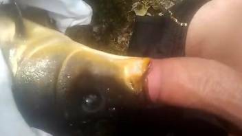 Dude fucking a dead fish's mouth in a twisted video
