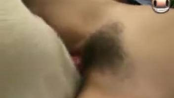Voluptuous Asian vagina penetrated by her dog in live cam adult footage