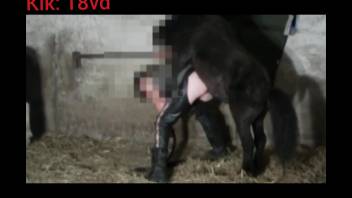 Animal enthusiast in leather trousers being penetrated from the rear