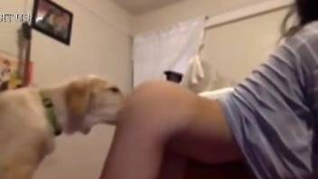 Perky booty chick getting licked thoroughly by a dog