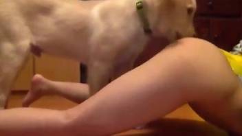 Skinny babe getting licked by her attentive dog