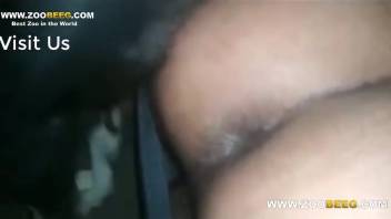 Intense butt pounding session featuring a huge-cocked monster and an eager stud