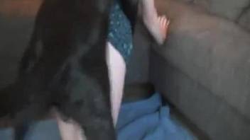 Spunky young zoophile teasing her dog with that pussy