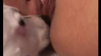 Sexy beast licking a hottie's horny little pussy