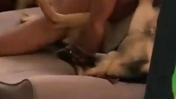 Horny guy fucking his sexy dog into submission on cam