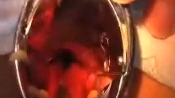 Aroused lady shoves bugs into her pussy