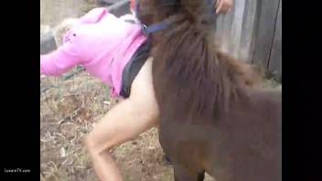 Aroused woman experiences the full horse cock thrusting deep into her pussy