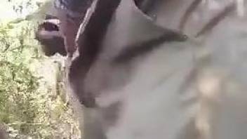 Dude drills a beast's pussy with his meaty penis