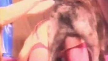 Doggy and family couple in passionate bestiality sex action