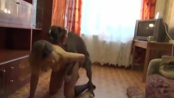 Blond-haired babe worships a dog's cock after sex