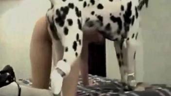 Nice lady with nice breasts fucks a sexy Dalmatian