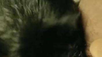 Up-close bestiality always appears so damn appealing