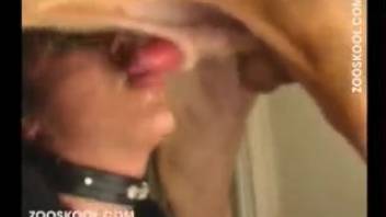 Canine whore gets pounded hard in homemade bestiality XXX video