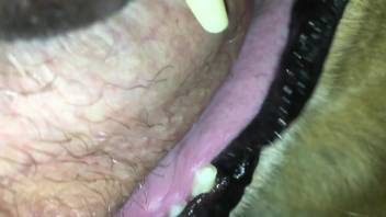 Throat-fucking session with a sexy beast and a hung dude