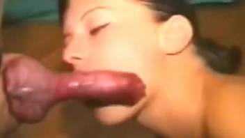 Horny people sucking cocks and being freaky with it