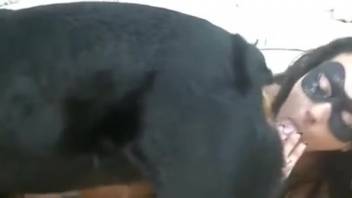 HD video of rear-entry sex with an attractive woman