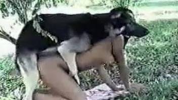 Compilation of chicks who are nailed by own dogs in doggystyle