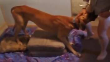 Dog fucks sexy ass woman from behind until she swallows