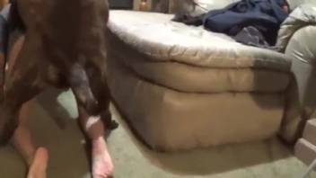 Intense doggy position fuck scene with extremely rough passion