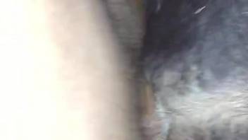 Hung guy fucking a dirty animal in a closeup movie