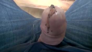 Guy masturbates by inserting worms into his penis for intensified pleasure