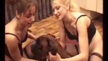 Blondie with a body enjoying her GF's first zoo sex