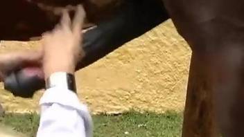 Blond-haired lady examines a horse's huge cock first