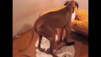 Filthy naked homemade sex video with the dog for a desperate housewife
