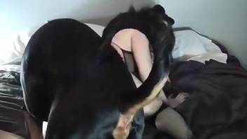 Masturbating lady lets a dog fuck her eventually