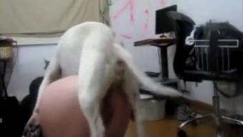 Horny woman experiences a huge dog's thick shaft penetrating her soaked vagina