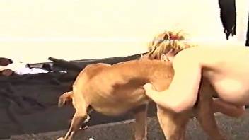Pale skinned blonde spreads her legs for a dog's dick