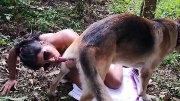 Complex bestiality scene with savage gape outdoors