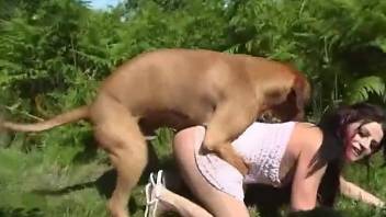 Sexy gal gets gaped by a sexier dog in the middle of nowhere