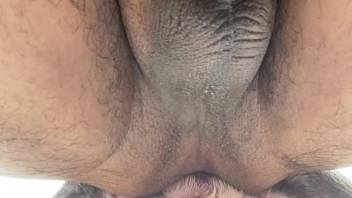 Canine thrusting that cock far into that snug rear end