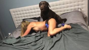 Moaning blonde having fun with a black dog peen