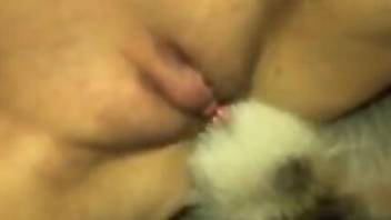 Aroused woman inserts dog's penis up her shaved pussy