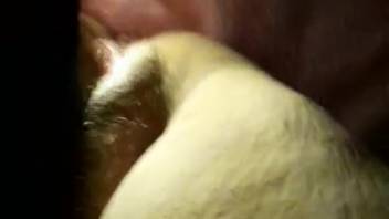 Wife enjoys the sensation of cum on her vagina, arousing her intensely.